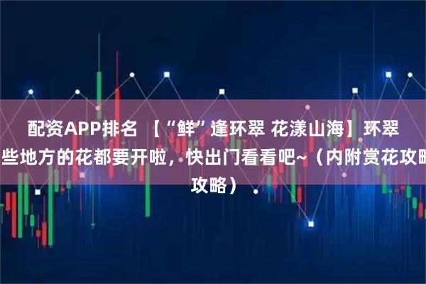 配资APP排名 【“鲜”逢环翠 花漾山海】环翠这些地方的花都要开啦，快出门看看吧~（内附赏花攻略）